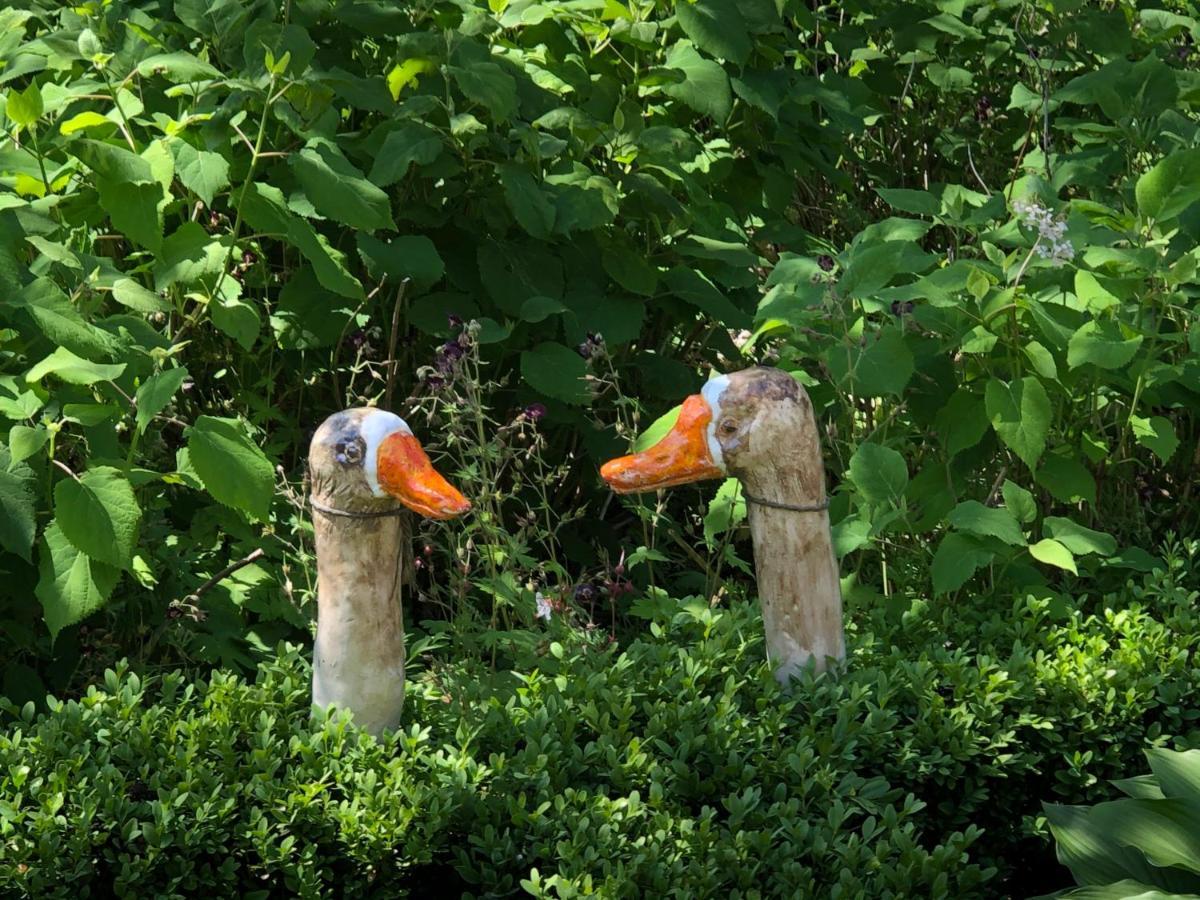 Bed and Breakfast Sloapmuts Oud-Ootmarsum Екстер'єр фото