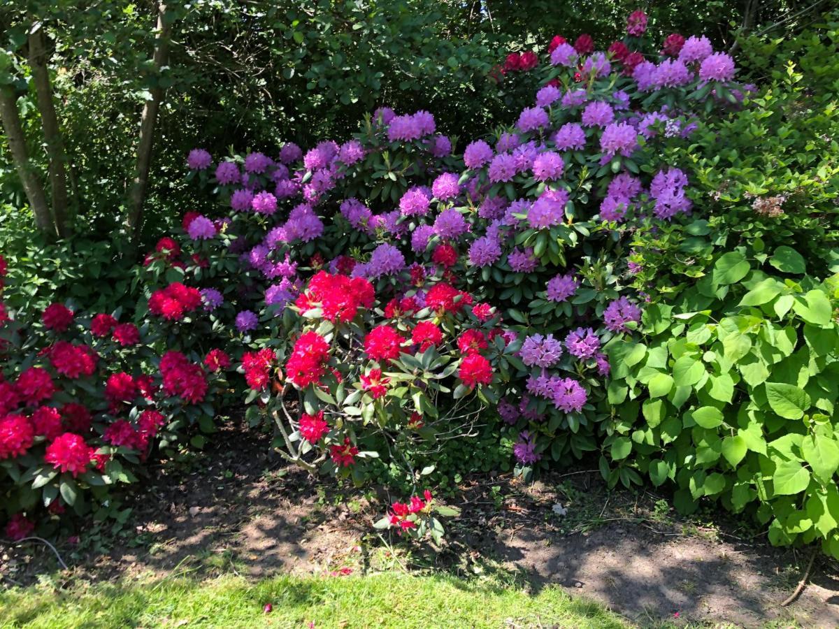 Bed and Breakfast Sloapmuts Oud-Ootmarsum Екстер'єр фото